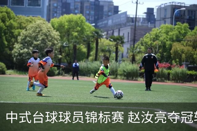 中式台球球员锦标赛 赵汝亮夺冠斩获百万奖金